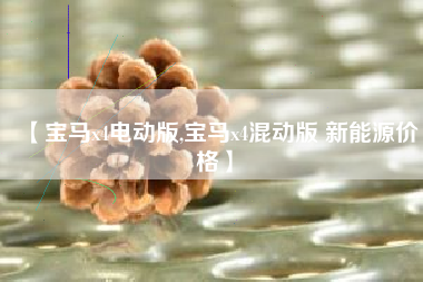 【宝马x4电动版,宝马x4混动版 新能源价格】