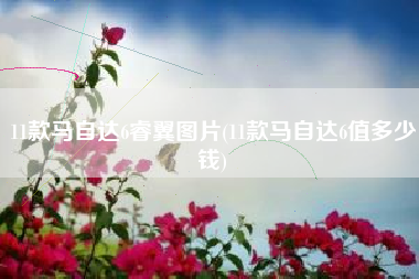 11款马自达6睿翼图片(11款马自达6值多少钱)