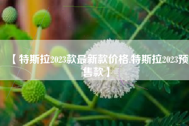 【特斯拉2023款最新款价格,特斯拉2023预售款】 【特斯拉2023款最新款价格,特斯拉2023预售款】