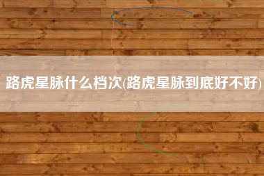 路虎星脉什么档次(路虎星脉到底好不好) 路虎星脉什么档次(路虎星脉到底好不好)