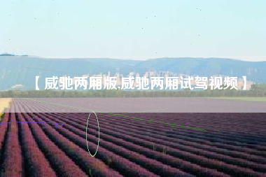 【威驰两厢版,威驰两厢试驾视频】