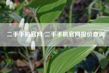 二手手机官网/二手手机官网报价查询