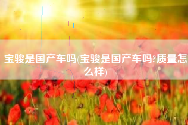 宝骏是国产车吗(宝骏是国产车吗?质量怎么样)