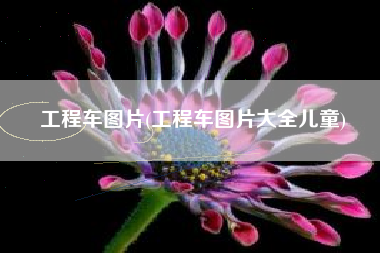 工程车图片(工程车图片大全儿童)