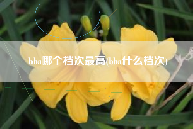 bba哪个档次最高(bba什么档次)