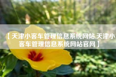【天津小客车管理信息系统网站,天津小客车管理信息系统网站官网】