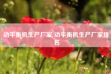 动平衡机生产厂家/动平衡机生产厂家排名
