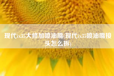 现代ix35大修加喷油嘴(现代ix35喷油嘴接头怎么拆)
