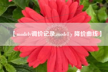 【modely调价记录,model y 降价曲线】