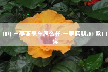 10年三菱蓝瑟车怎么样/三菱蓝瑟2010款口碑 10年三菱蓝瑟车怎么样/三菱蓝瑟2010款口碑