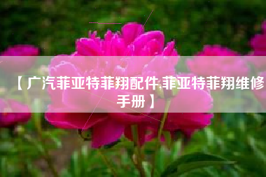 【广汽菲亚特菲翔配件,菲亚特菲翔维修手册】