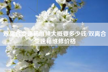 双离合变速箱维修大概要多少钱/双离合变速箱维修价格 双离合变速箱维修大概要多少钱/双离合变速箱维修价格