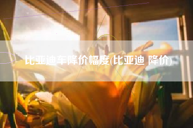 比亚迪车降价幅度(比亚迪 降价)