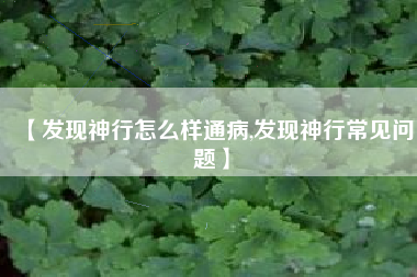 【发现神行怎么样通病,发现神行常见问题】 【发现神行怎么样通病,发现神行常见问题】