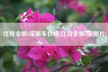 江铃全顺6座新车价格(江铃全顺6座图片)