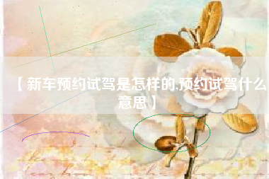 【新车预约试驾是怎样的,预约试驾什么意思】