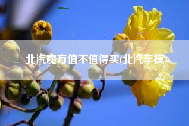 北汽魔方值不值得买(北汽车模) 北汽魔方值不值得买(北汽车模)