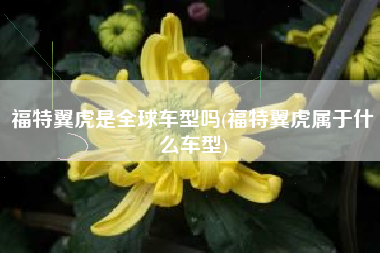 福特翼虎是全球车型吗(福特翼虎属于什么车型)
