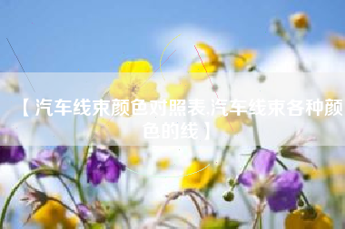 【汽车线束颜色对照表,汽车线束各种颜色的线】
