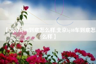 【北京bj40l到底怎么样,北京bj40车到底怎么样】