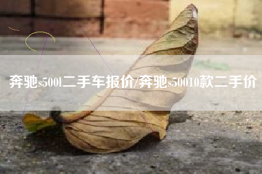 奔驰s500l二手车报价/奔驰s50010款二手价