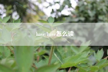 have/have怎么读 have/have怎么读