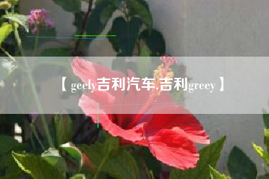 【geely吉利汽车,吉利greey】