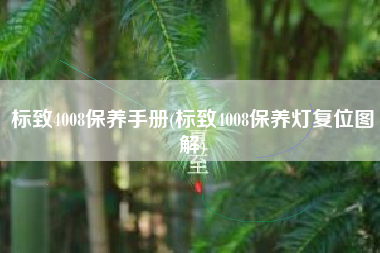标致4008保养手册(标致4008保养灯复位图解)