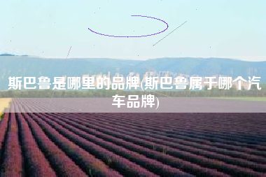 斯巴鲁是哪里的品牌(斯巴鲁属于哪个汽车品牌) 斯巴鲁是哪里的品牌(斯巴鲁属于哪个汽车品牌)