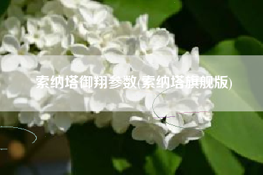 索纳塔御翔参数(索纳塔旗舰版)