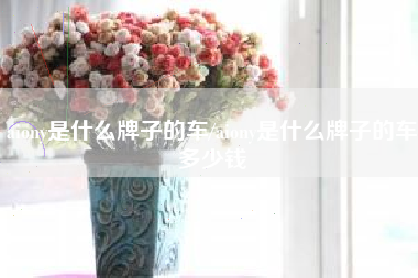 aiony是什么牌子的车/aiony是什么牌子的车多少钱