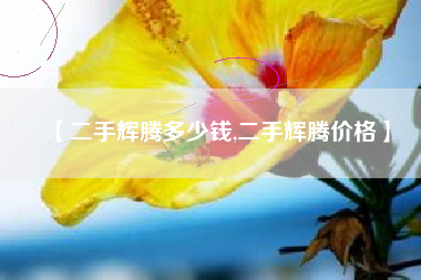 【二手辉腾多少钱,二手辉腾价格】 【二手辉腾多少钱,二手辉腾价格】