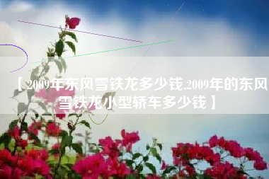 【2009年东风雪铁龙多少钱,2009年的东风雪铁龙小型轿车多少钱】