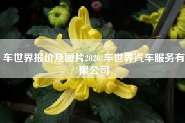 车世界报价及图片2020/车世界汽车服务有限公司