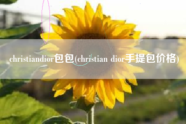 christiandior包包(christian dior手提包价格) christiandior包包(christian dior手提包价格)