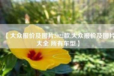 【大众报价及图片2022款,大众报价及图片大全 所有车型】