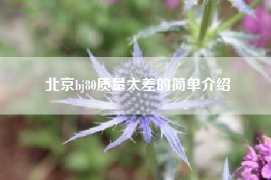 北京bj80质量太差的简单介绍