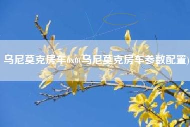 乌尼莫克房车6x6(乌尼莫克房车参数配置) 乌尼莫克房车6x6(乌尼莫克房车参数配置)
