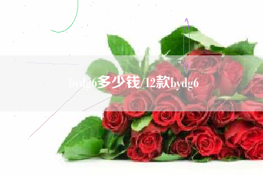 bydg6多少钱/12款bydg6 bydg6多少钱/12款bydg6