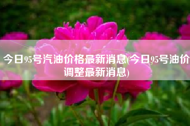 今日95号汽油价格最新消息(今日95号油价调整最新消息)