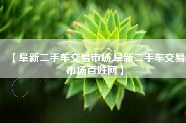 【阜新二手车交易市场,阜新二手车交易市场百姓网】