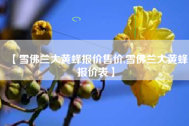 【雪佛兰大黄蜂报价售价,雪佛兰大黄蜂报价表】 【雪佛兰大黄蜂报价售价,雪佛兰大黄蜂报价表】