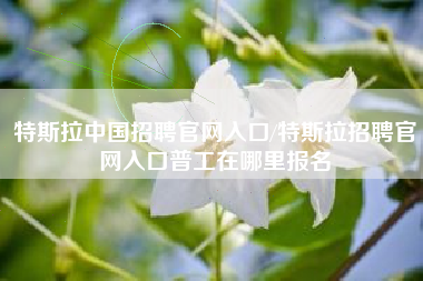 特斯拉中国招聘官网入口/特斯拉招聘官网入口普工在哪里报名