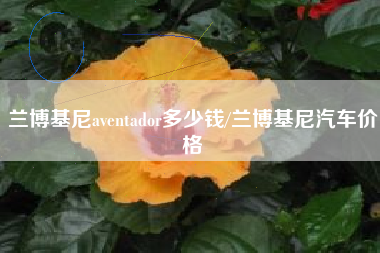 兰博基尼aventador多少钱/兰博基尼汽车价格 兰博基尼aventador多少钱/兰博基尼汽车价格