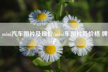 mini汽车图片及报价(mini车图片及价格 牌子)
