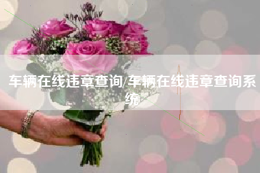 车辆在线违章查询/车辆在线违章查询系统