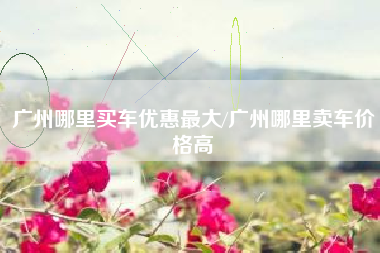 广州哪里买车优惠最大/广州哪里卖车价格高