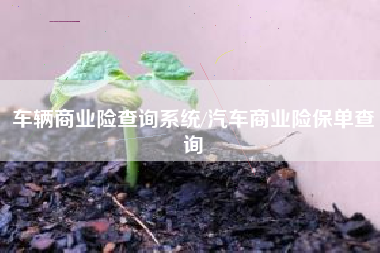 车辆商业险查询系统/汽车商业险保单查询