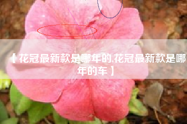 【花冠最新款是哪年的,花冠最新款是哪年的车】