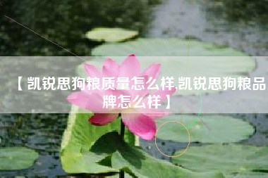 【凯锐思狗粮质量怎么样,凯锐思狗粮品牌怎么样】